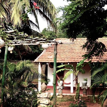 Allens Home Stay جافنا المظهر الخارجي الصورة