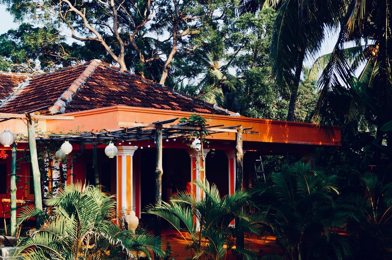 Allens Home Stay جافنا المظهر الخارجي الصورة