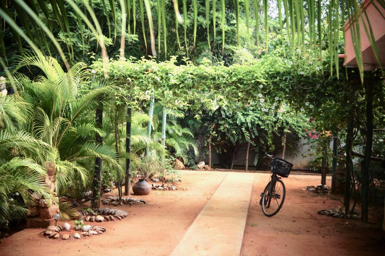 Allens Home Stay جافنا المظهر الخارجي الصورة