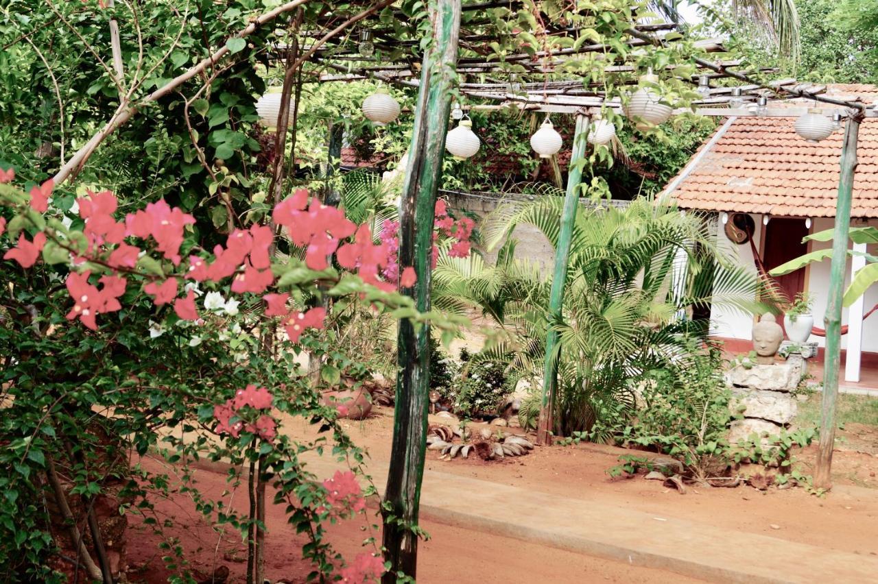 Allens Home Stay جافنا المظهر الخارجي الصورة